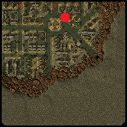 VerusCity-Bounty.png