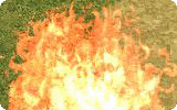 Warmer Info.gif