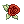 Lush Rose