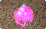 Antidote Info.gif