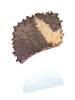 Black bear.jpg