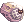 Scatleton Pet