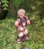 Woodcutter Iron.jpg