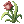 Aloe