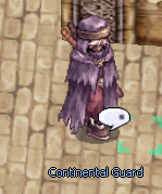 Dimensional Continental Guard.png