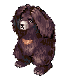 ZIPPER BEAR.gif
