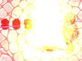 File:Feint Bomb Info.jpg