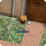 EyeoftheBeholder mimosa.jpg