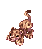 BABY LEOPARD.gif