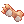 Colorful Shell