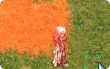 Fire Walk Info.gif