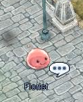 File:Florist.png