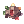 Poring Star