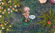 File:180px-Eci HerbMerchantPlafina.png
