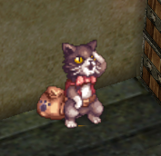 File:Sechi.png