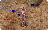 Summon Water Ball Info.gif
