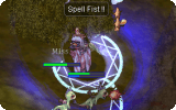 Spell Fist Info.gif