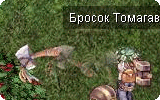 Tomahawk Throwing Info.gif