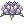 Celestial Woman's Flower
