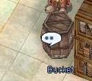 File:Bucket.jpg