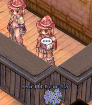 File:180px-Second job enchant staff.png