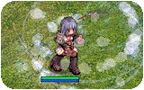 Swirling Petal Info.gif