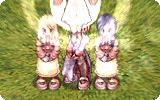 B.S Sacramenti Info.gif