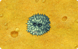 Hide Info.gif