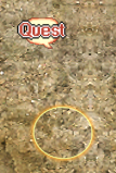 Screenshot 2023-10-10 084207.png