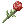 Witherless Rose