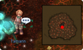 Thumbnail for version as of 19:23, 3 April 2025