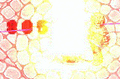 Thumbnail for version as of 20:03, 3 April 2025