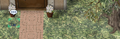 Thumbnail for version as of 20:08, 3 April 2025