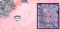 Thumbnail for version as of 21:58, 3 April 2025