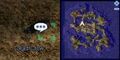 Thumbnail for version as of 22:51, 3 April 2025