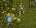 Thumbnail for version as of 00:32, 4 April 2025
