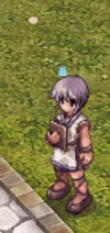 Booster staff2.gif