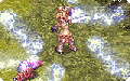 Thumbnail for version as of 15:52, 30 March 2025