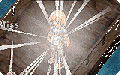 Thumbnail for version as of 16:02, 30 March 2025