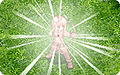 Thumbnail for version as of 16:28, 30 March 2025