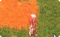 Thumbnail for version as of 16:48, 30 March 2025