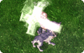 Thumbnail for version as of 17:02, 30 March 2025