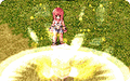 Thumbnail for version as of 17:07, 30 March 2025