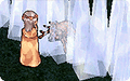 Thumbnail for version as of 17:41, 30 March 2025