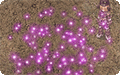 Thumbnail for version as of 18:36, 30 March 2025
